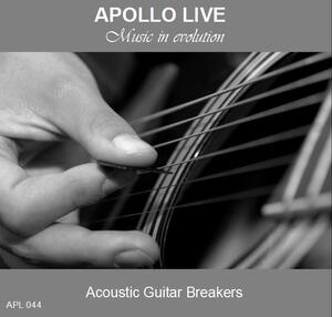 ACOUSTIC GUITAR BREAKERS