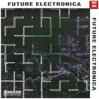 FUTURE ELECTRONICA