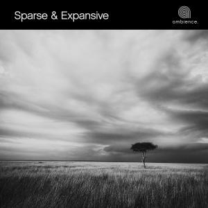 Sparse & Expansive