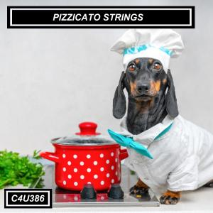  PIZZICATO STRINGS