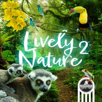 Lively Nature 2