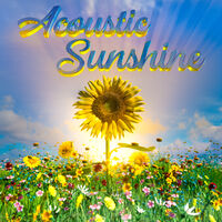 ACOUSTIC SUNSHINE