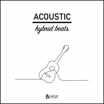 Acoustic Hybrid Beats