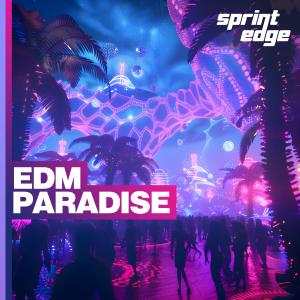 EDM Paradise