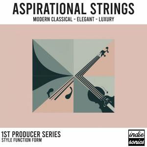 Aspirational Strings