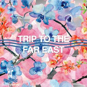 Trip To Far East