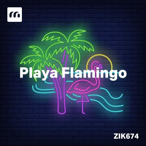 Playa Flamingo