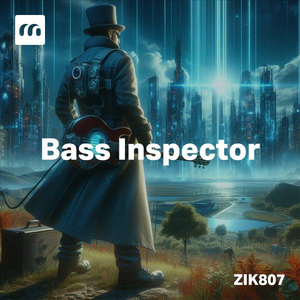 Bass Inspector