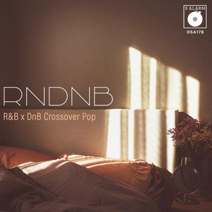 RNDNB - R&B x DnB Crossover Pop