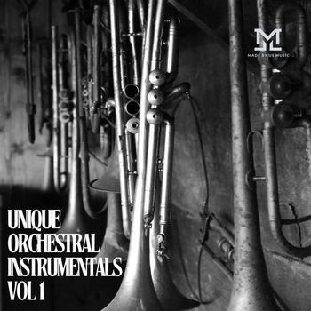 Unique Orchestral Instrumentals Vol 1