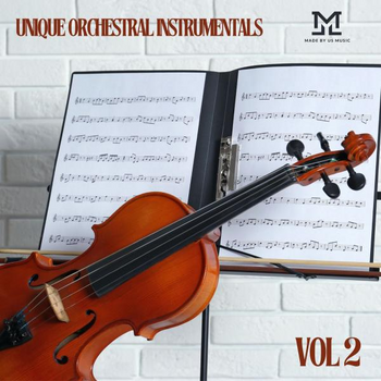 Unique Orchestral Instrumentals Vol 2