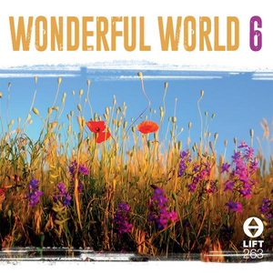 Wonderful World 6