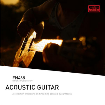 Acoustic Guitar