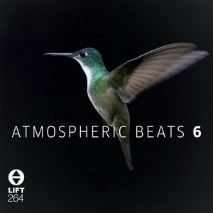 Atmospheric Beats 6