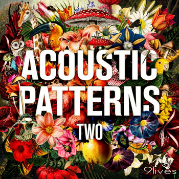 Acoustic Patterns 2