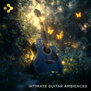 Intimate Guitar Ambiences