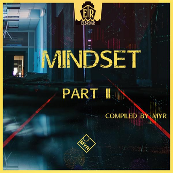 Electronic Mindset Part II