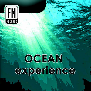 Ocean Experience