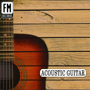 Acoustic Guitar