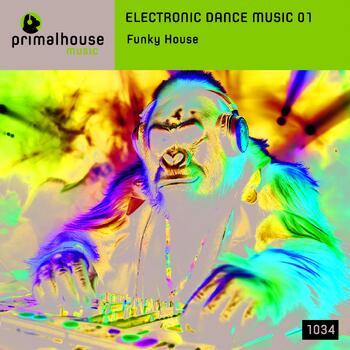 Electronic Dance Music 01 Funky House