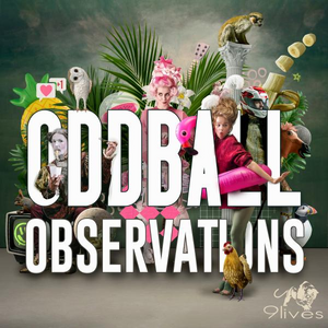 Oddball Observations