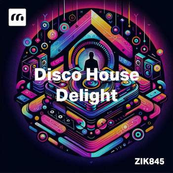 Disco House Delight