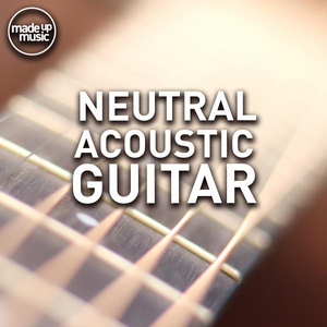 Neutral Acoustic Guitar